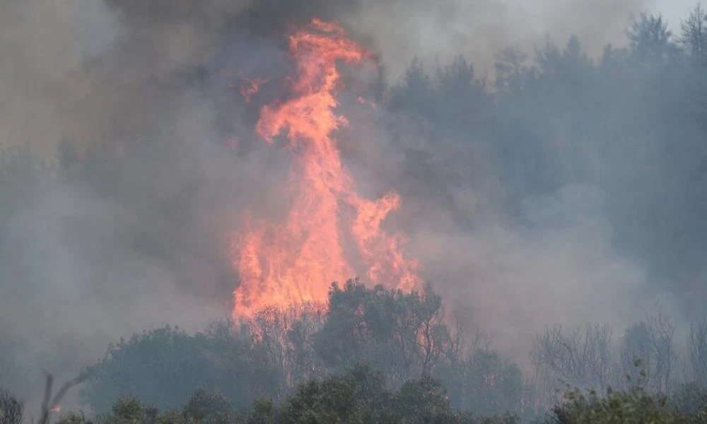 Χαλκιδική: Στις φλόγες τυλίχτηκε όχημα στον Πολύγυρο